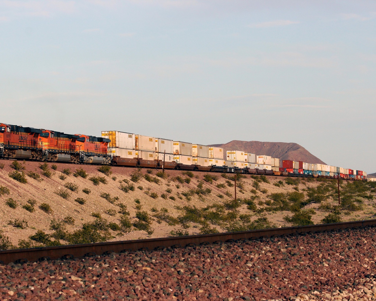 Грузовой поезд перевозит контейнеры