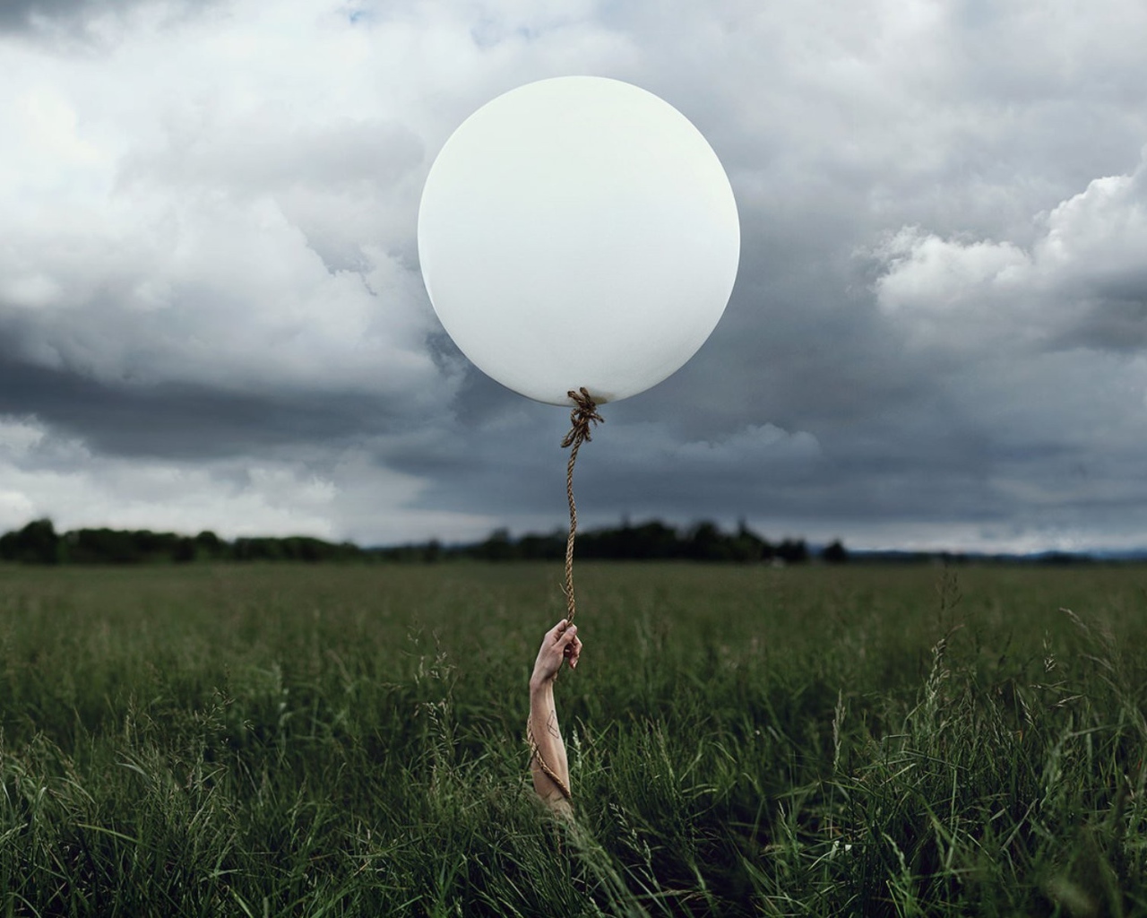 Рука с шаром среди поля