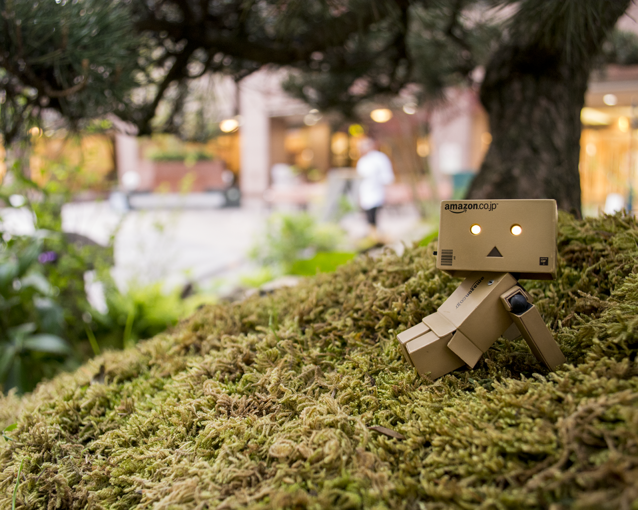 Японский Дандо на мху