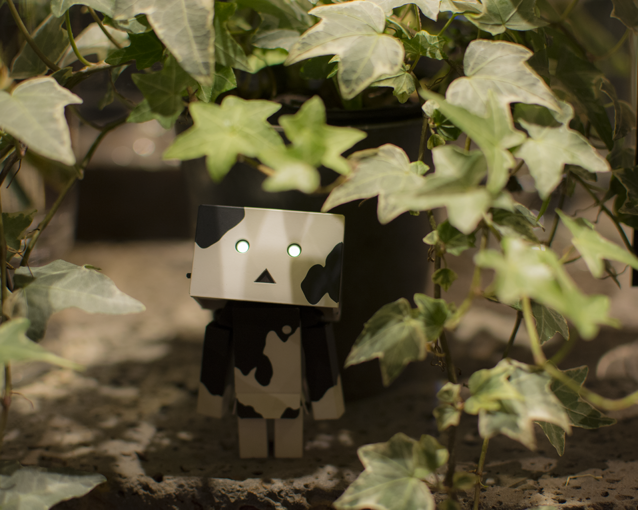 Японский Дандо под листьями