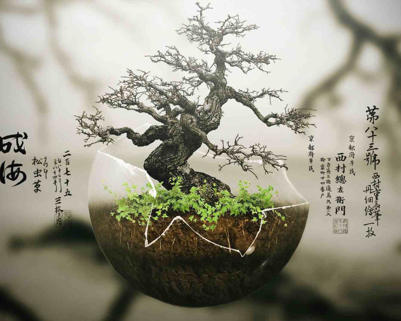 Японский бонсай в прозрачной скорлупе