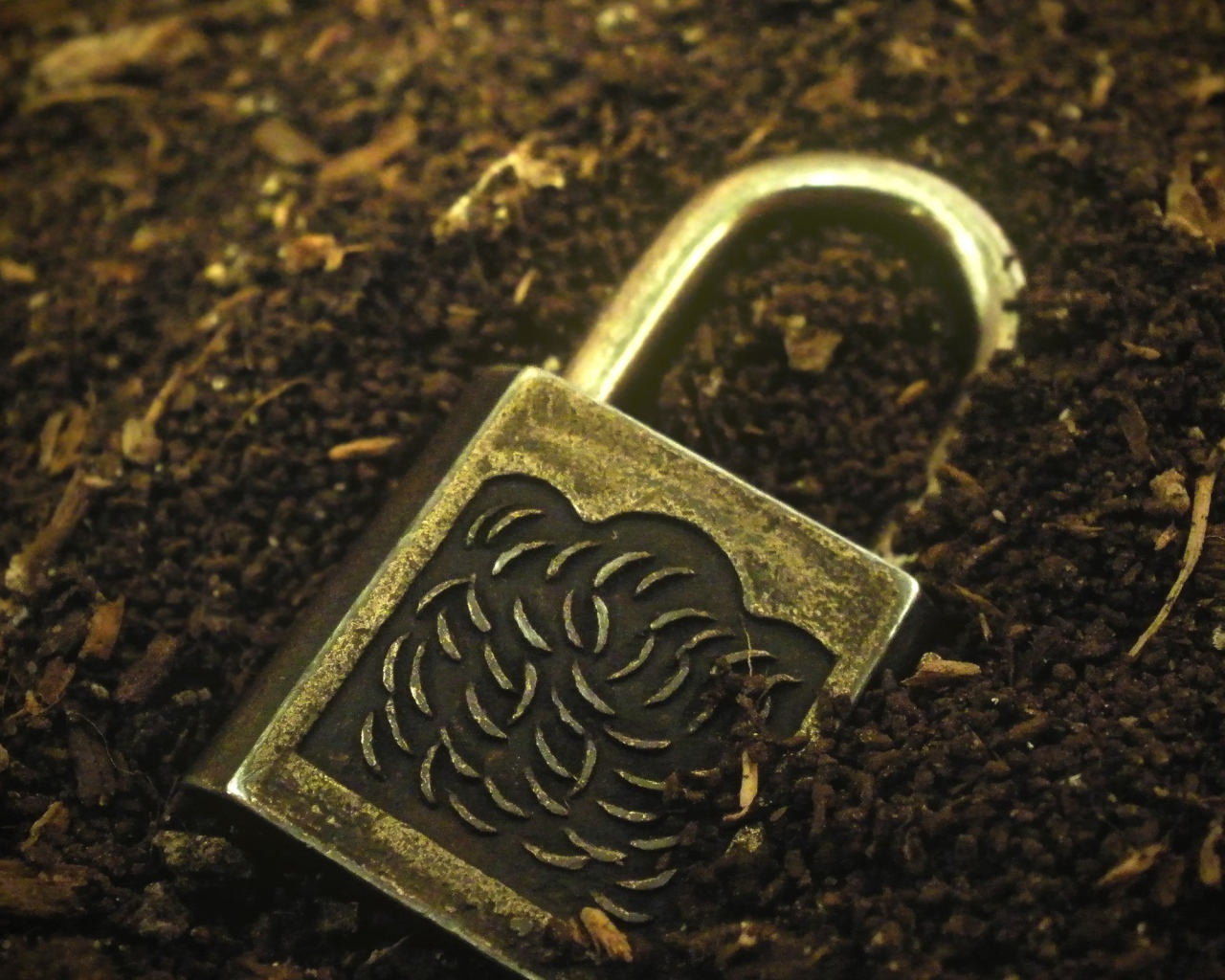 Замок лежит в земле