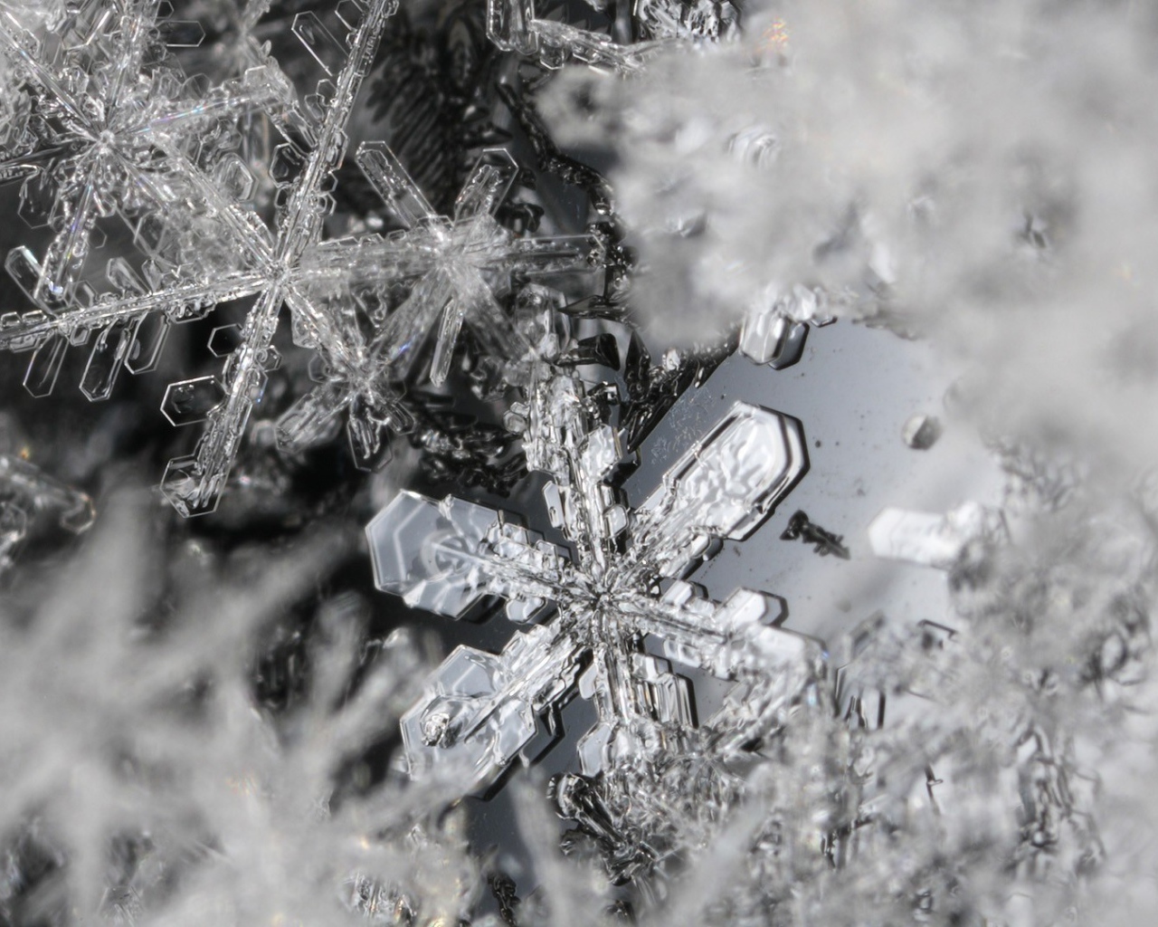 Макро фото снежинок