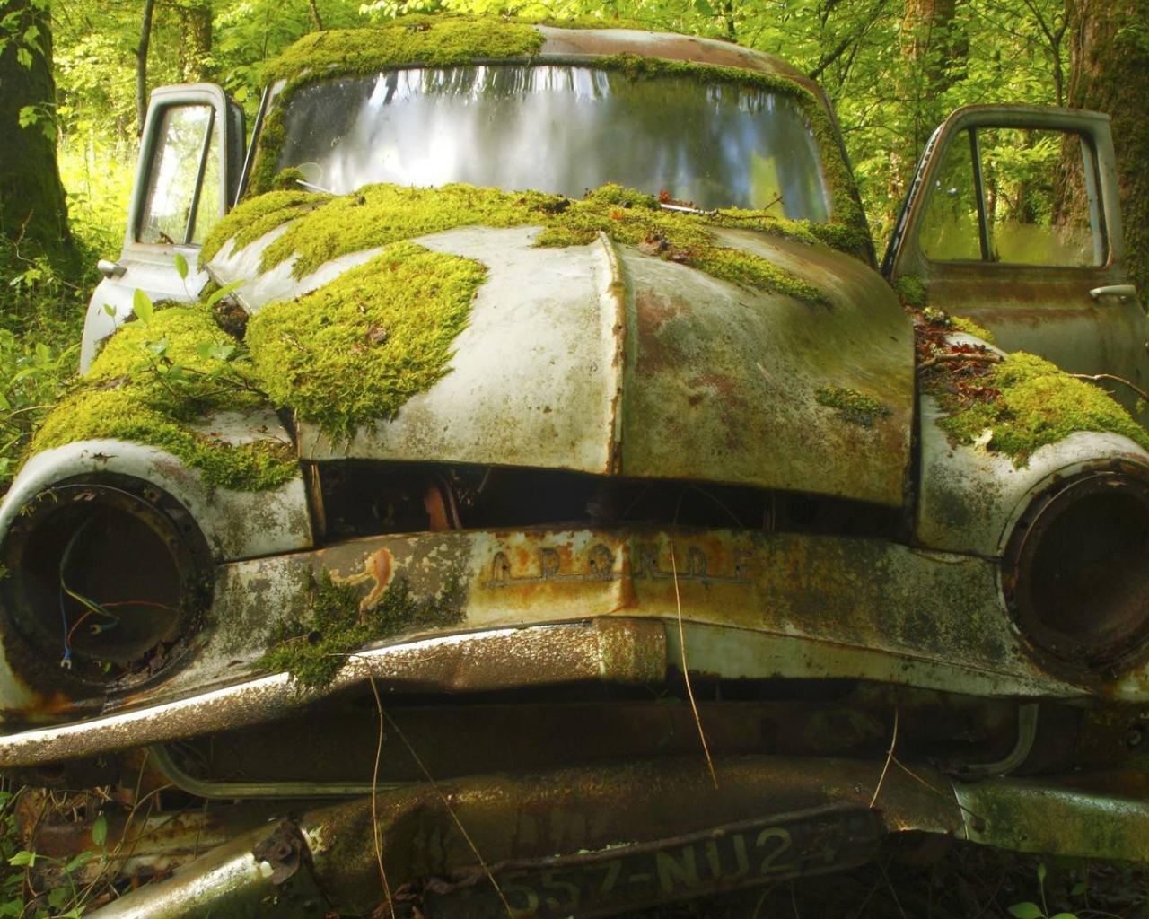 Покрытый мхом корпус автомобиля