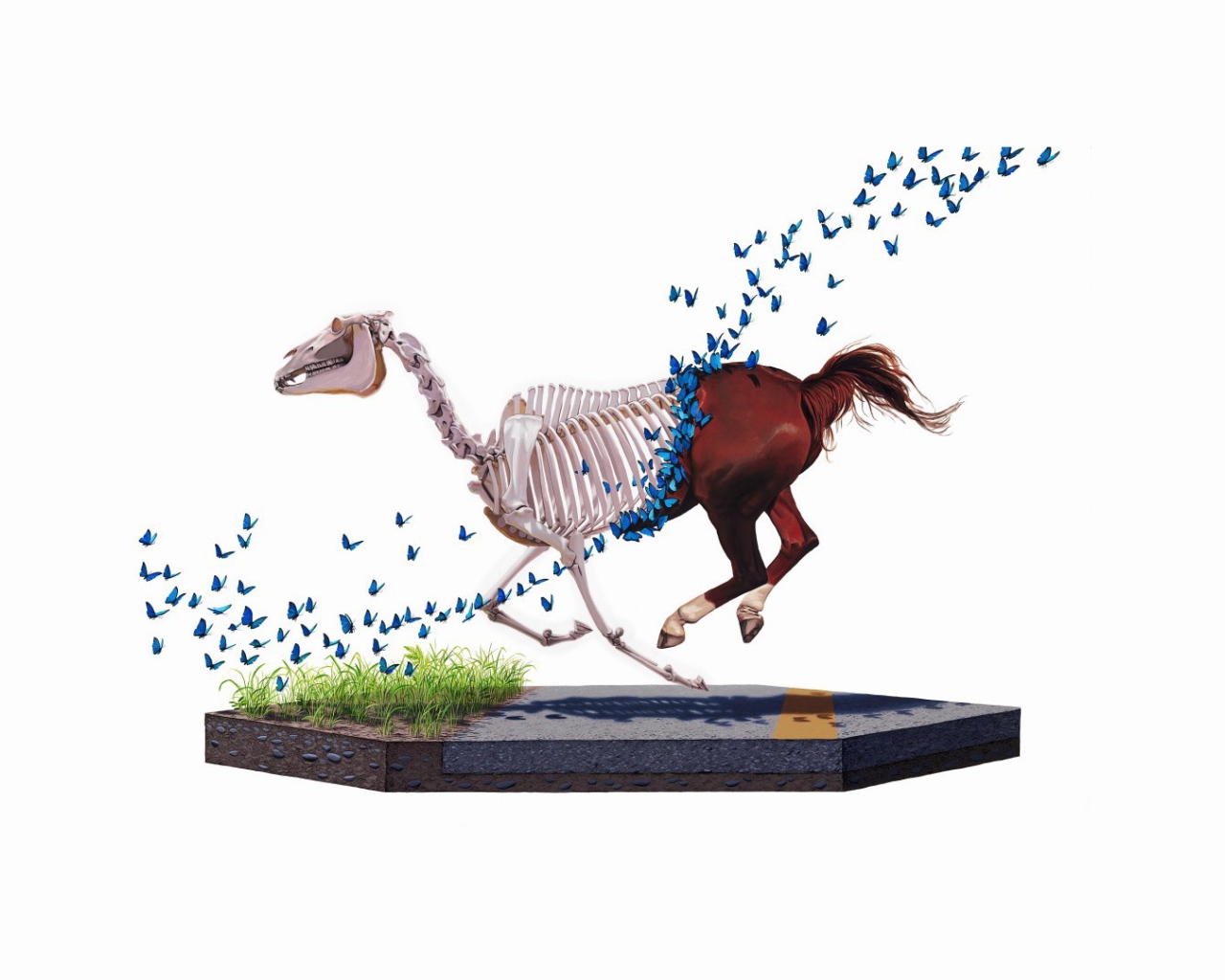 Бабочки съели лошадь