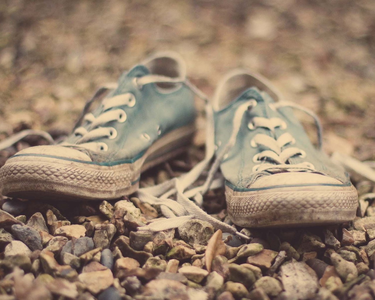 Старые кеды на гальке