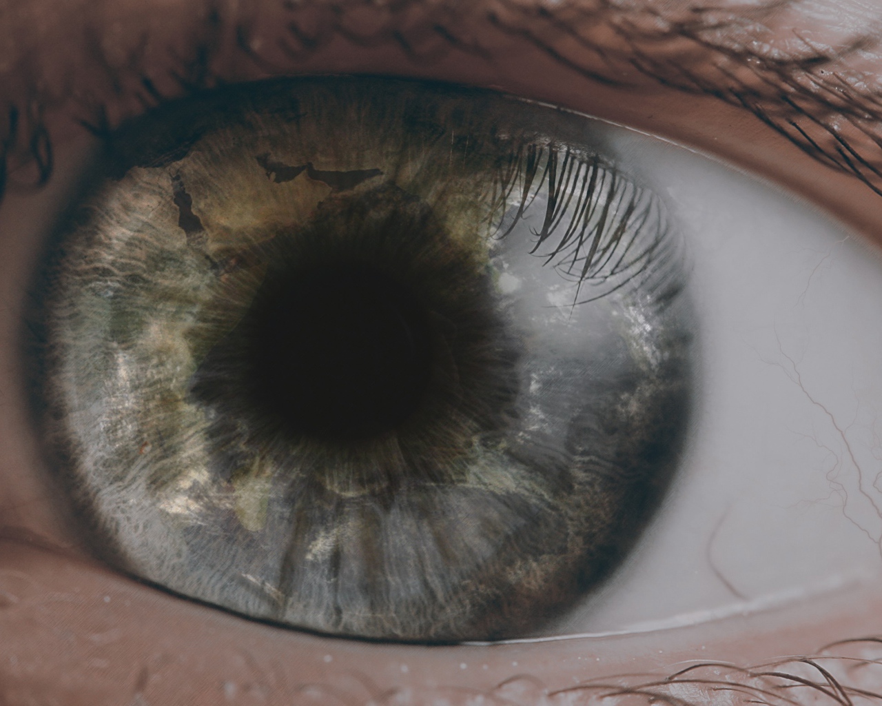 Открытый глаз человека