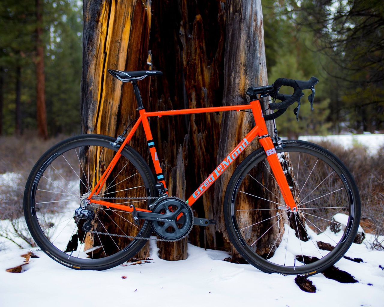 Оранжевый велосипед у дерева