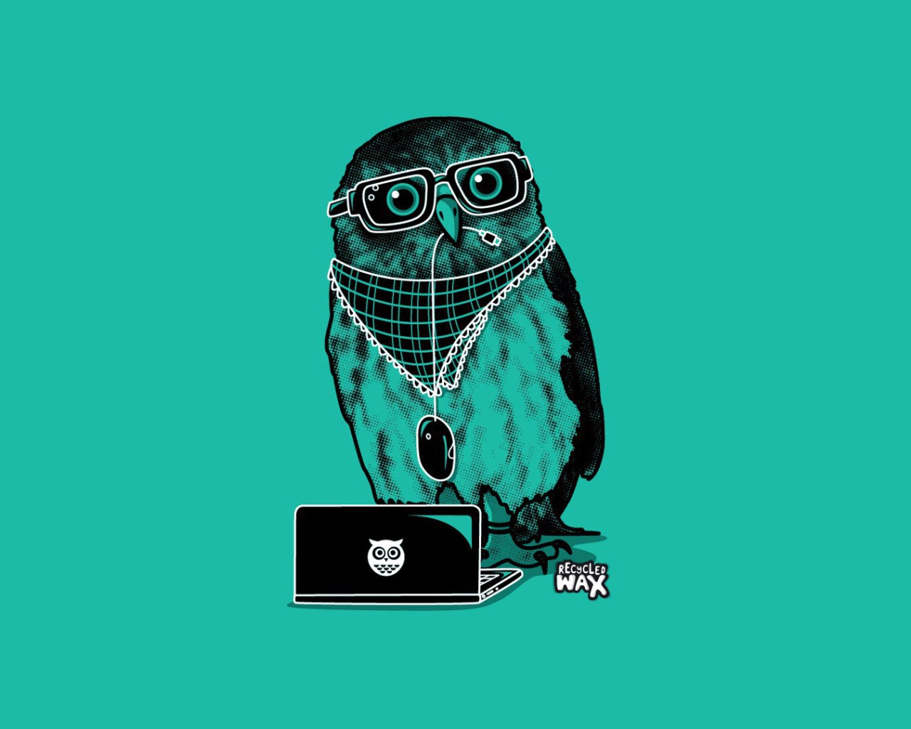 Сова в модной одежде