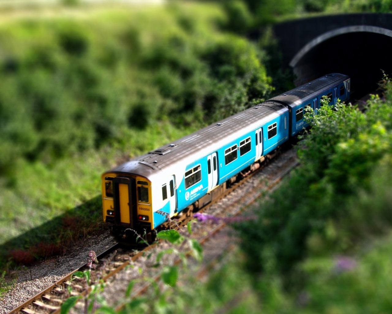 Пассажирский поезд скрывается в тоннеле