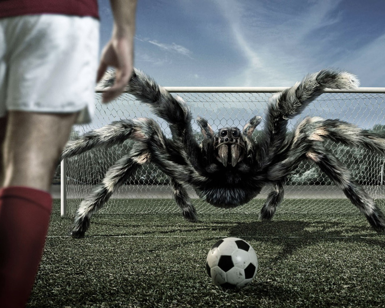 Игра в футбол с арахнидом