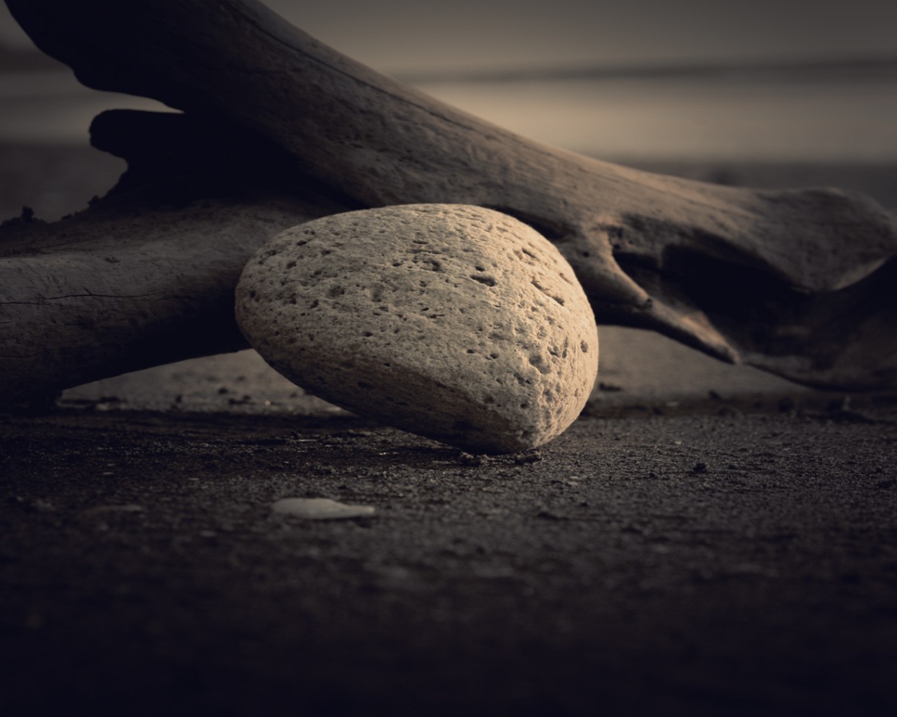 Пористый камень у сухой ветки