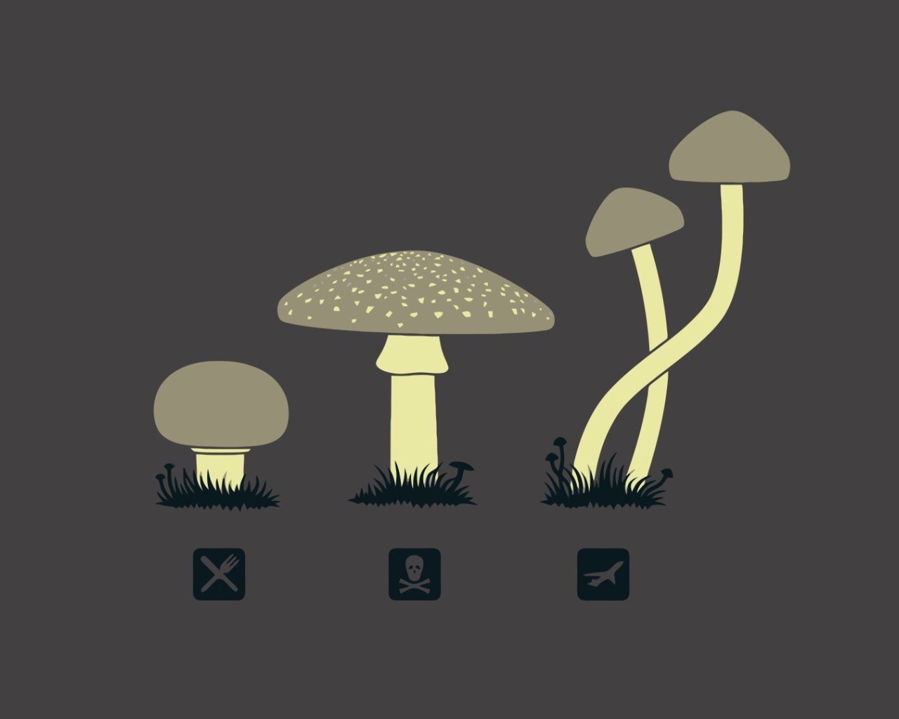 Предназначение разных грибов