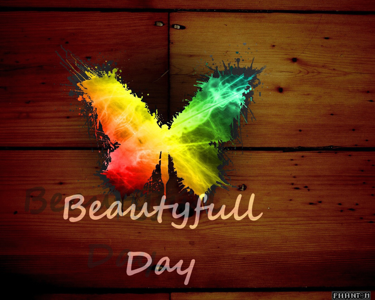 Радужная бабочка, прекрасный день