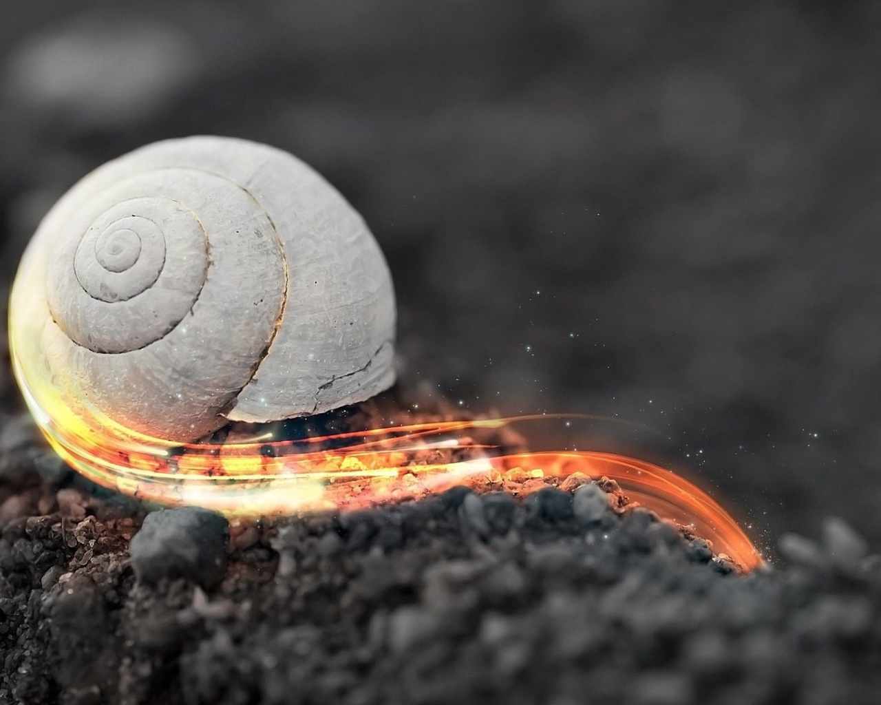 Стремительная огненная улитка