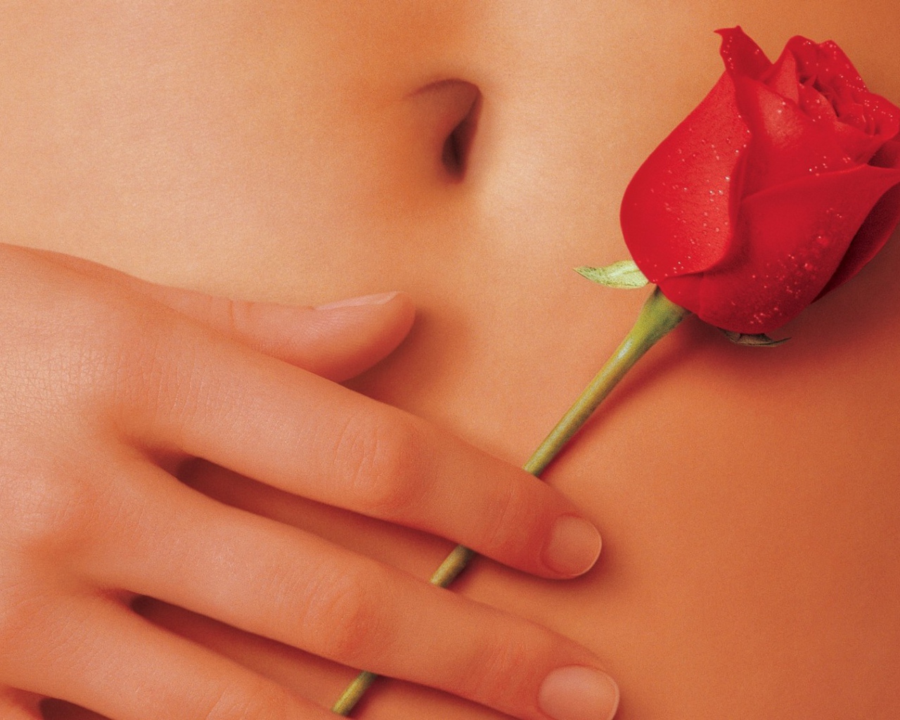 Роза на животе у девушки