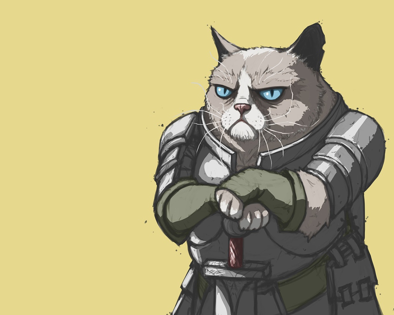 Грустный кот в доспехах