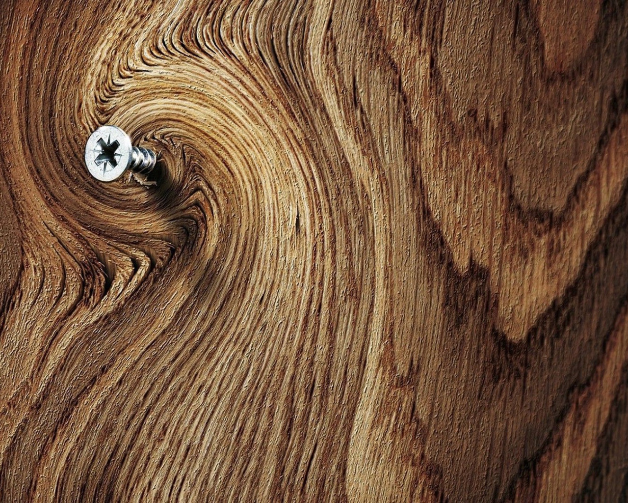 Шуруп в деревянной доске