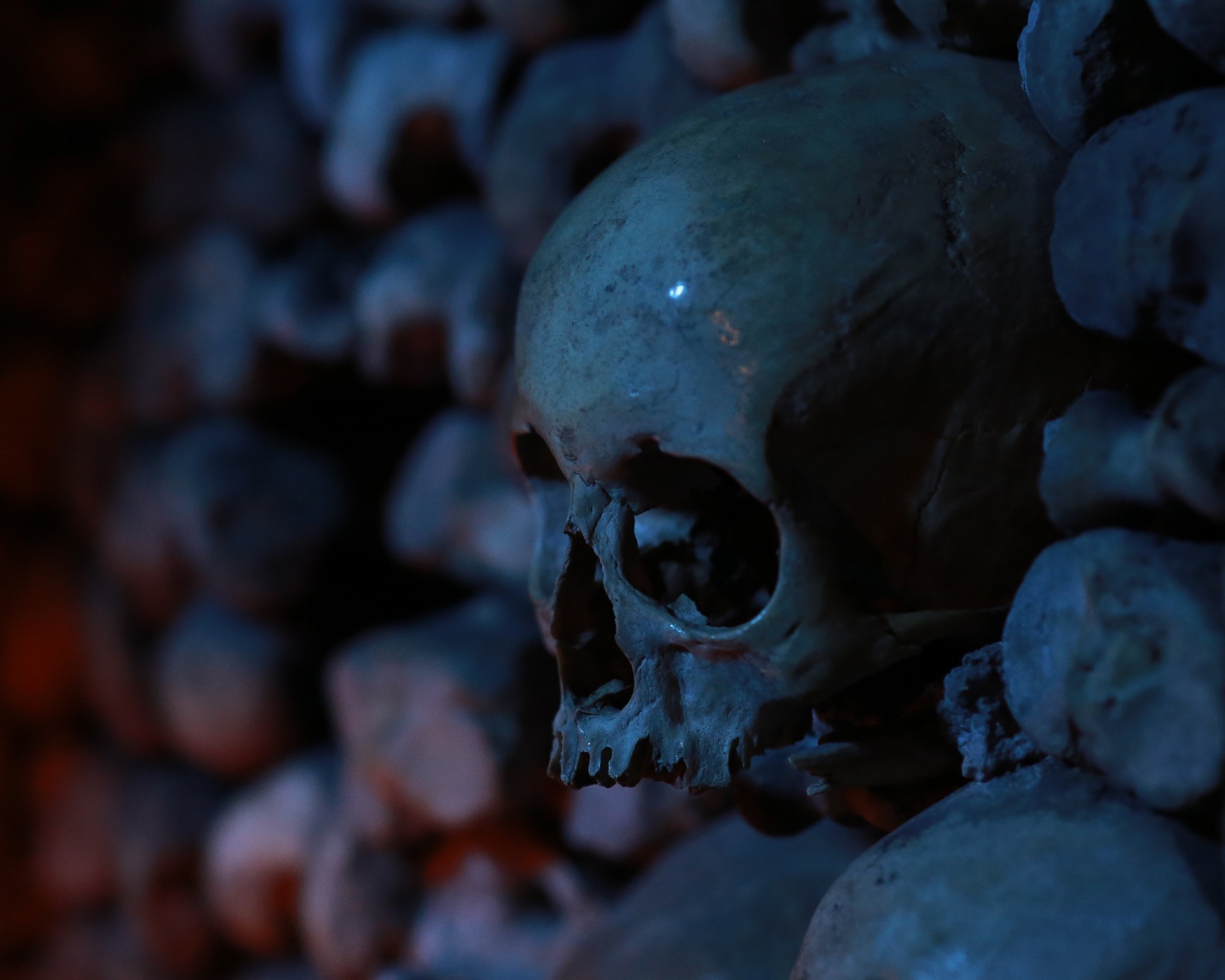 Череп среди костей в склепе