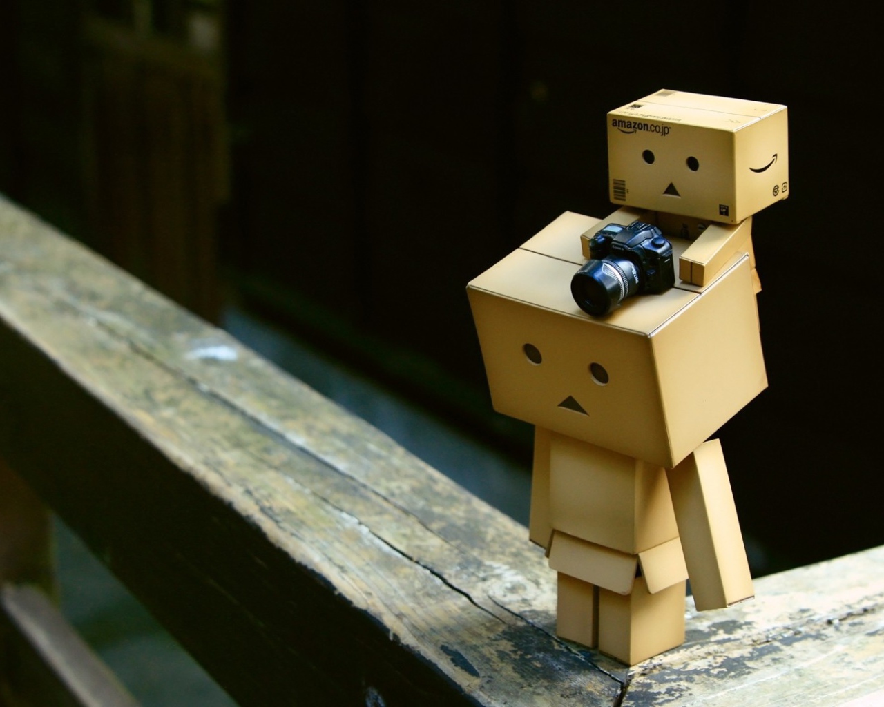 Сынок Дандо с фотоаппаратом