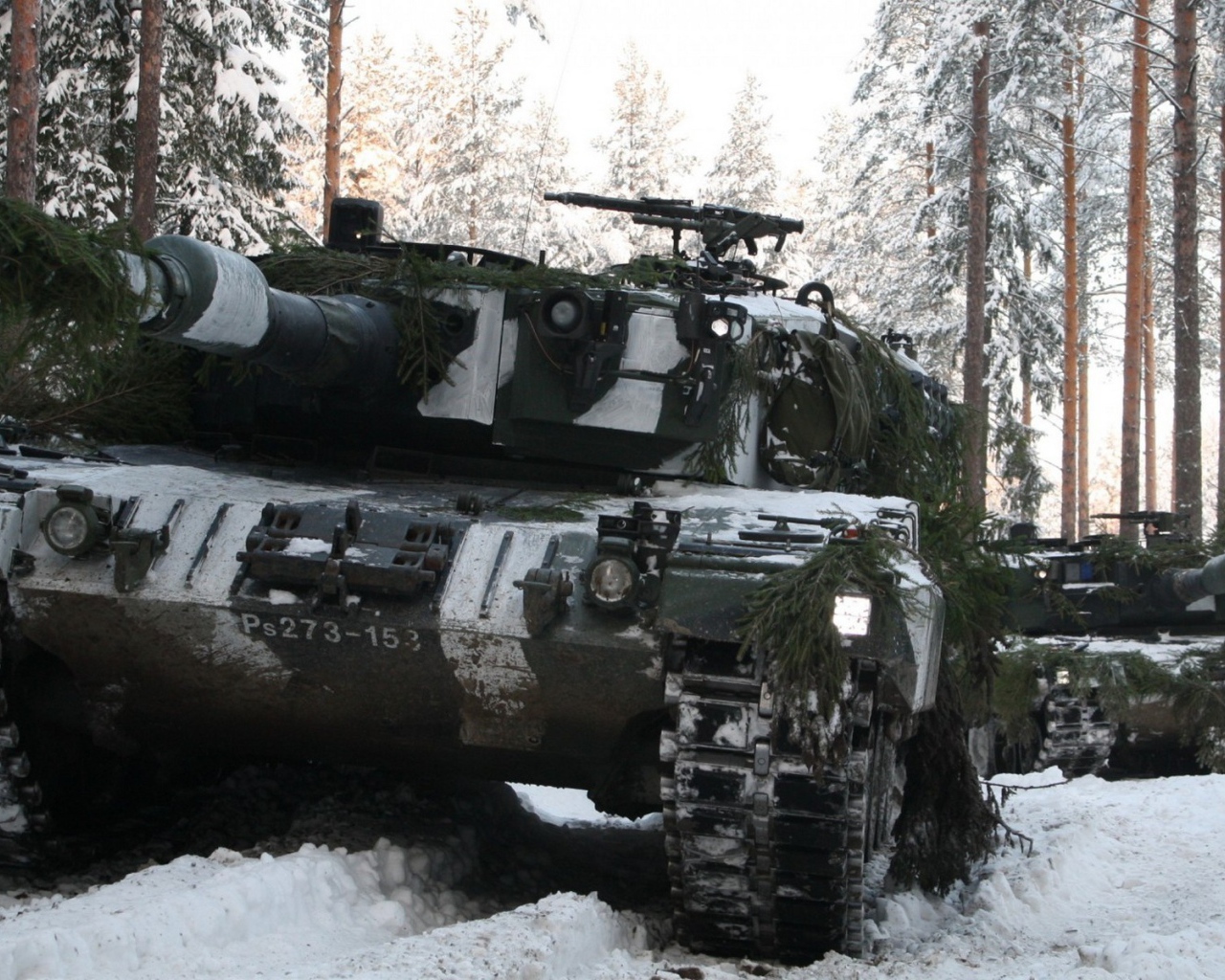 Tank in disguise in the forest