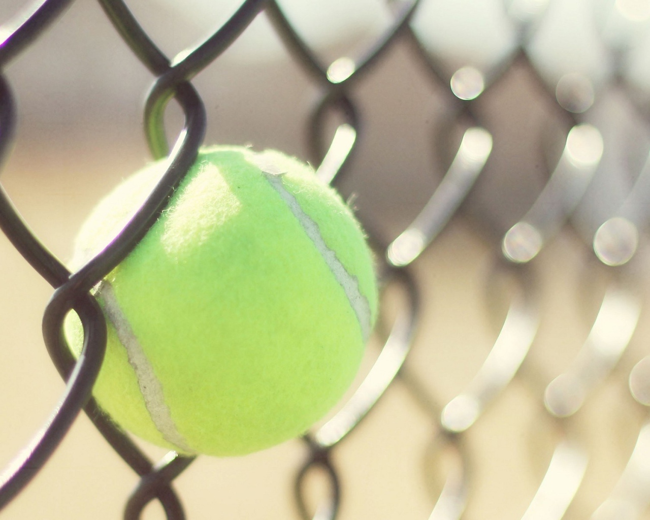 Мяч для тенниса застрял в решетке