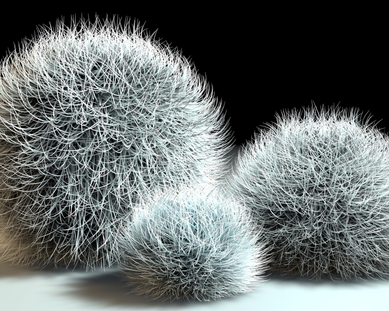 Шарики из мха