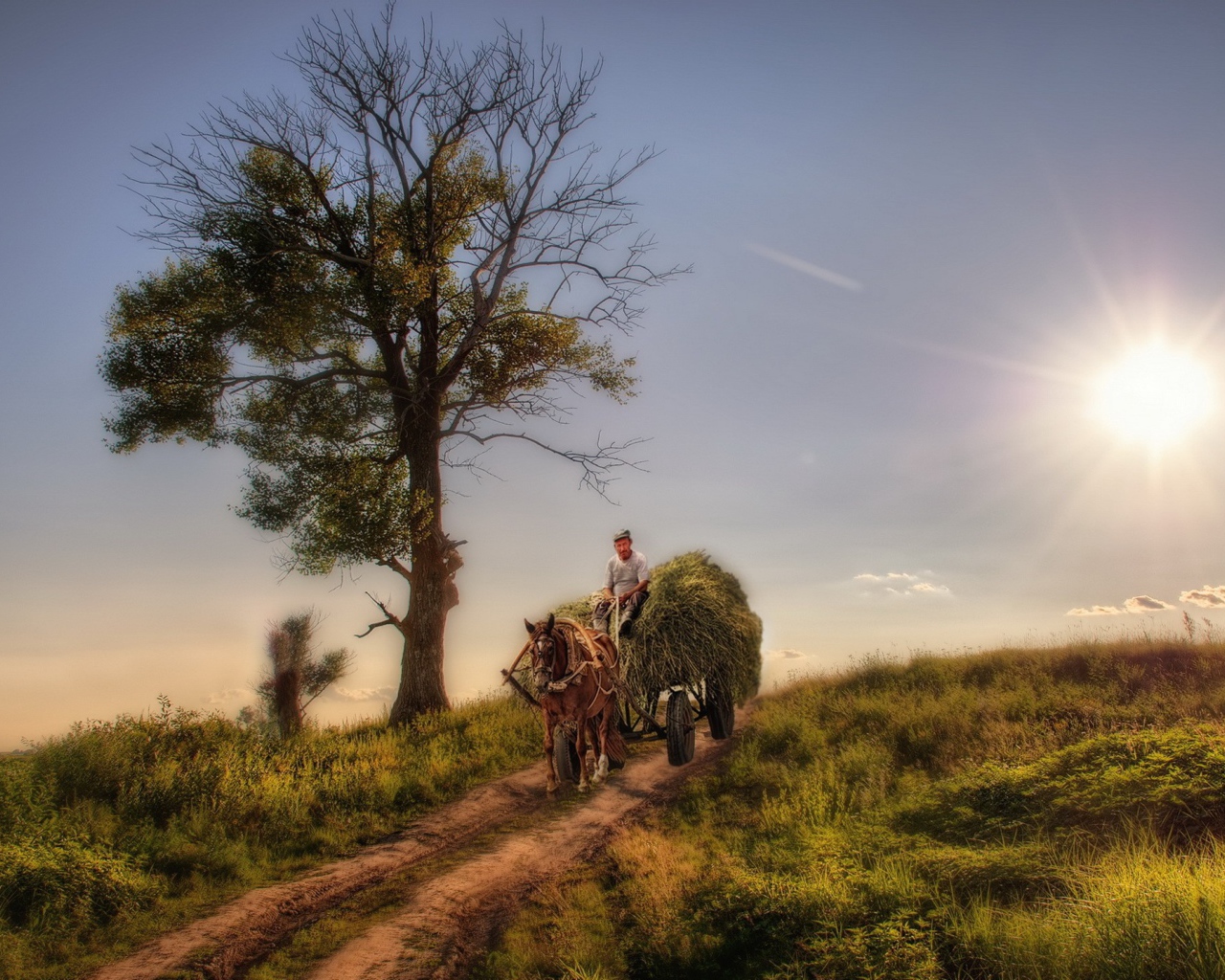 Крестьянин везет сено на телеге