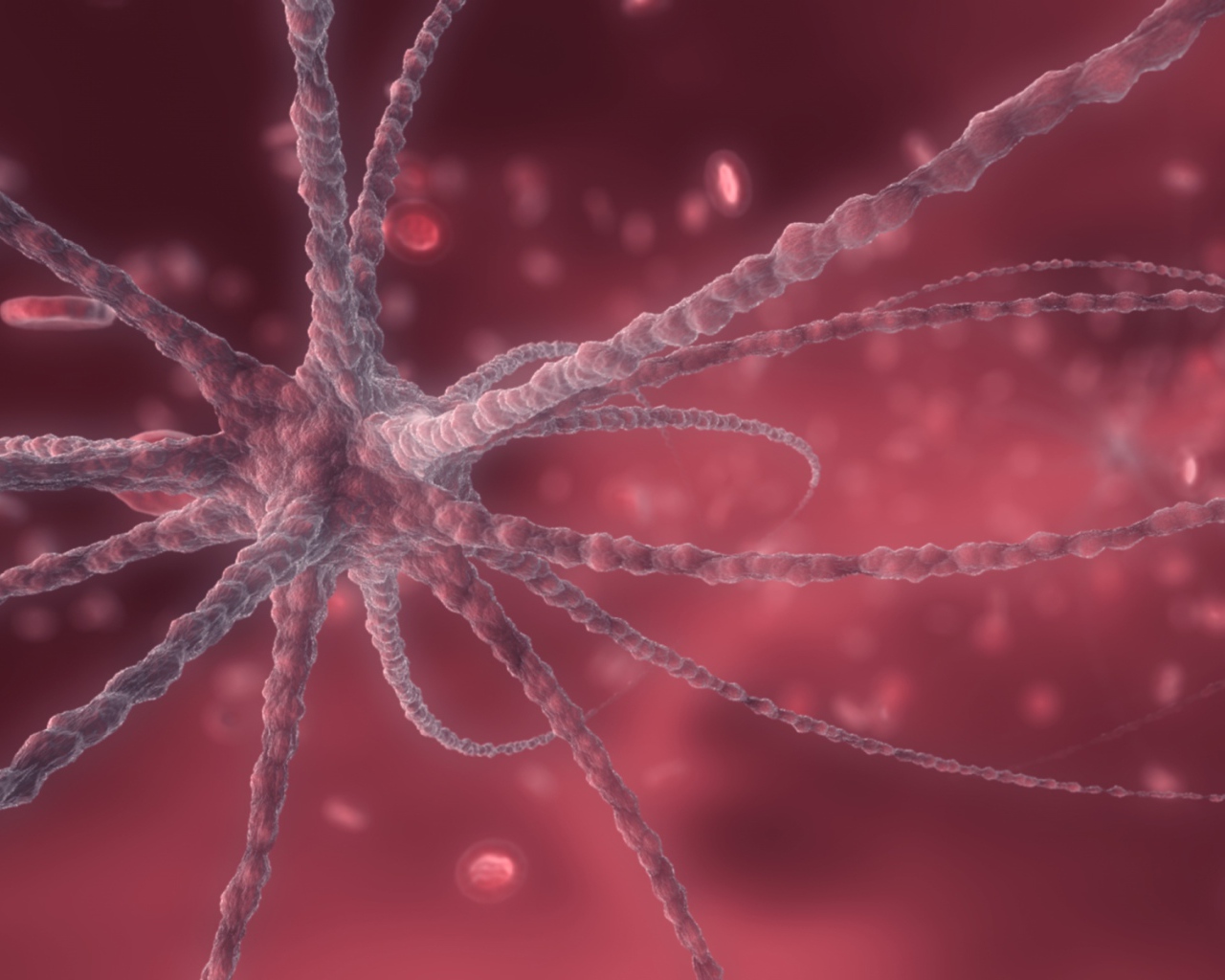 Изображение вируса, розовый фон