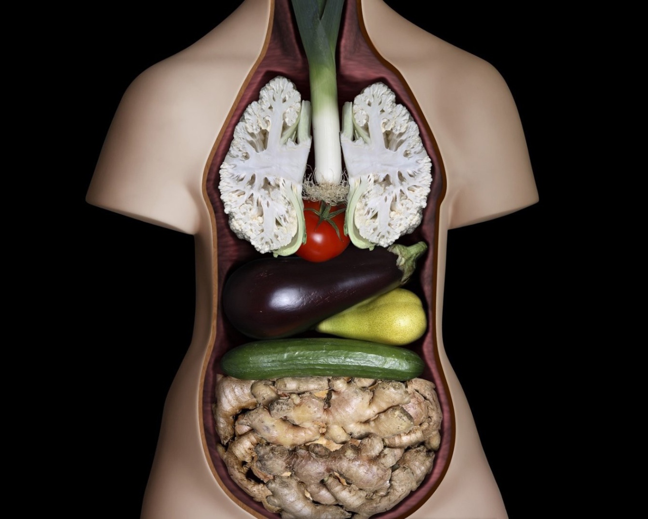 Внутренние органы из овощей