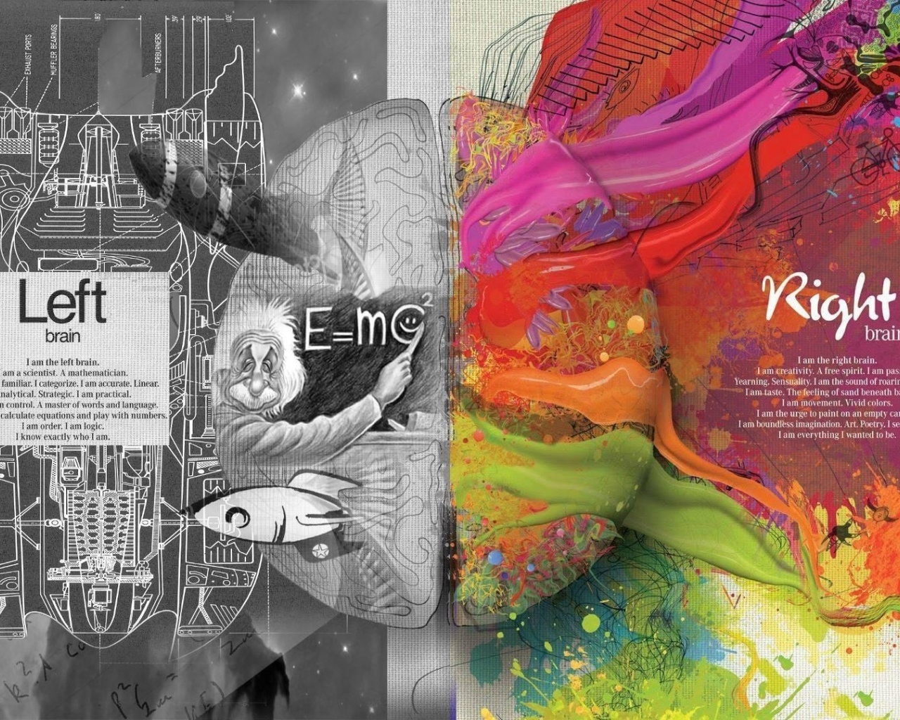 Левое и правое полушария мозга