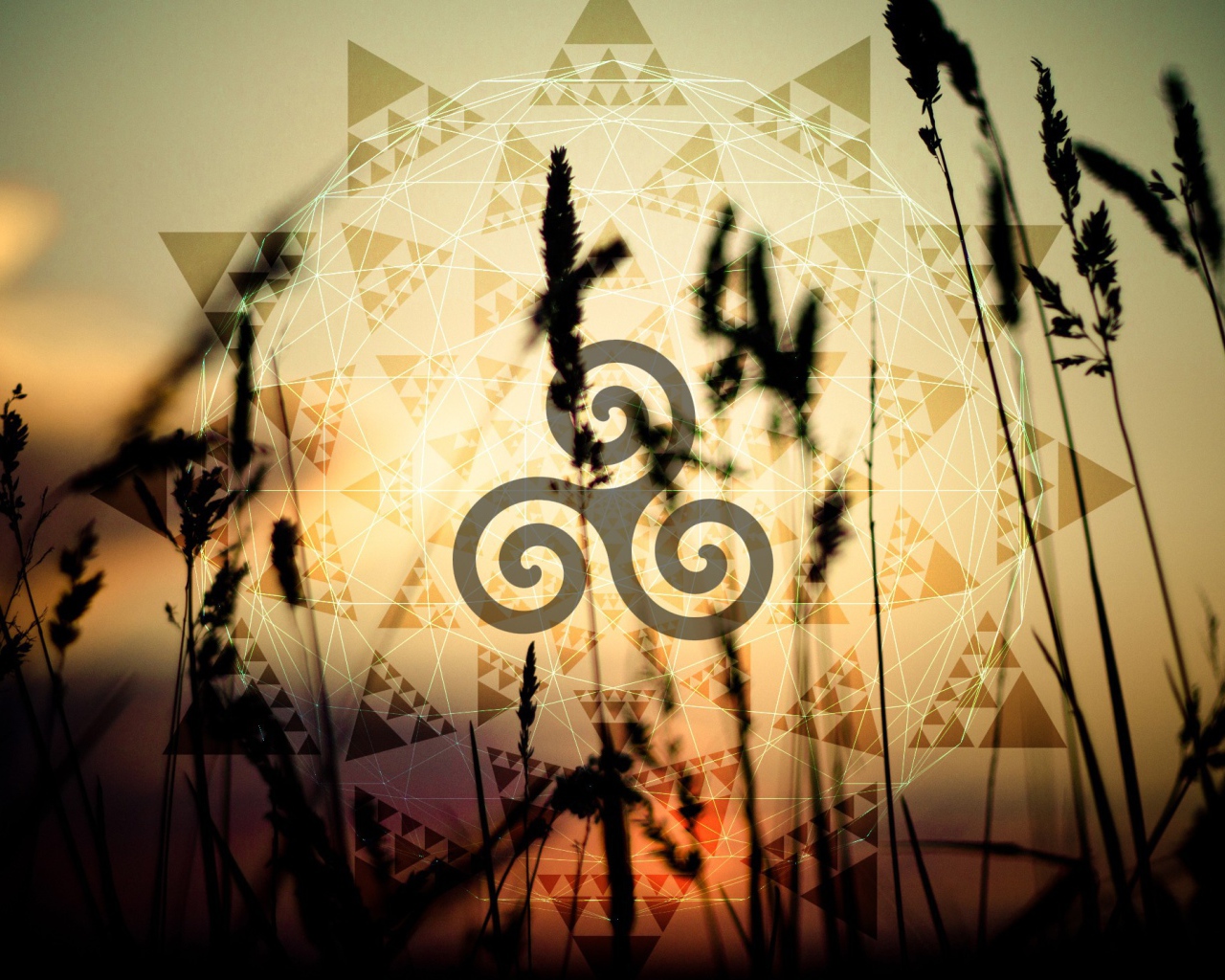 Символ солнца на фоне колосков