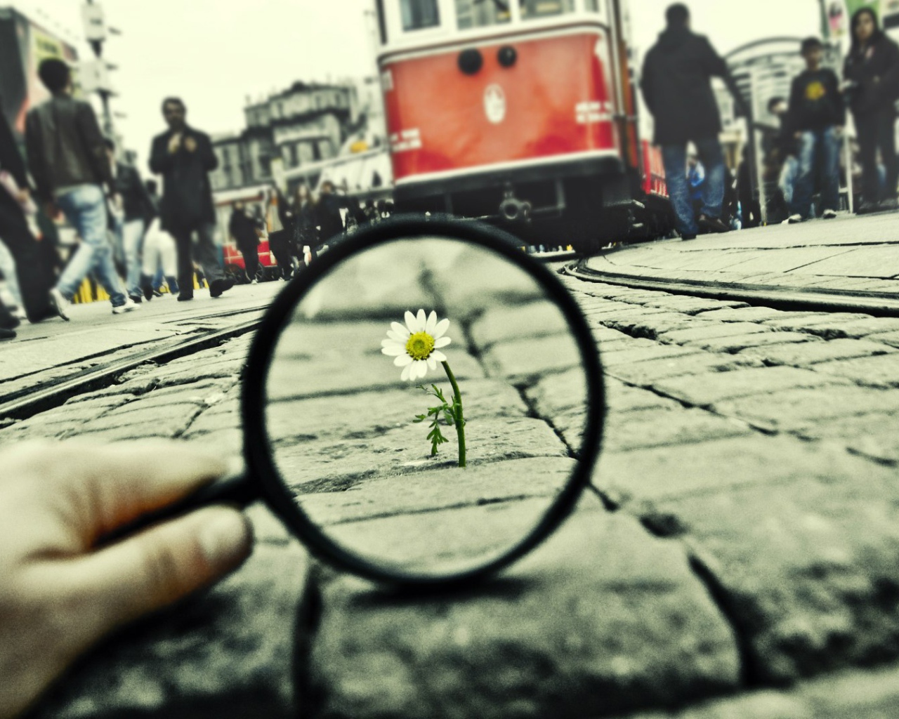 Воля к жизни, достойная уважения