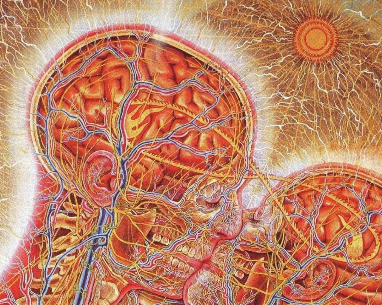 Настоящая химия любви