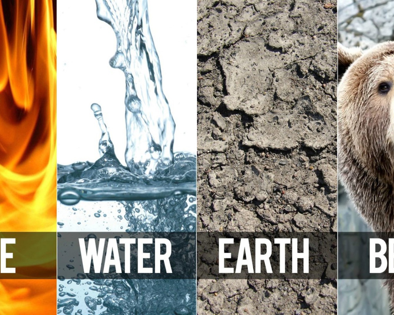 Три стихии и медведь