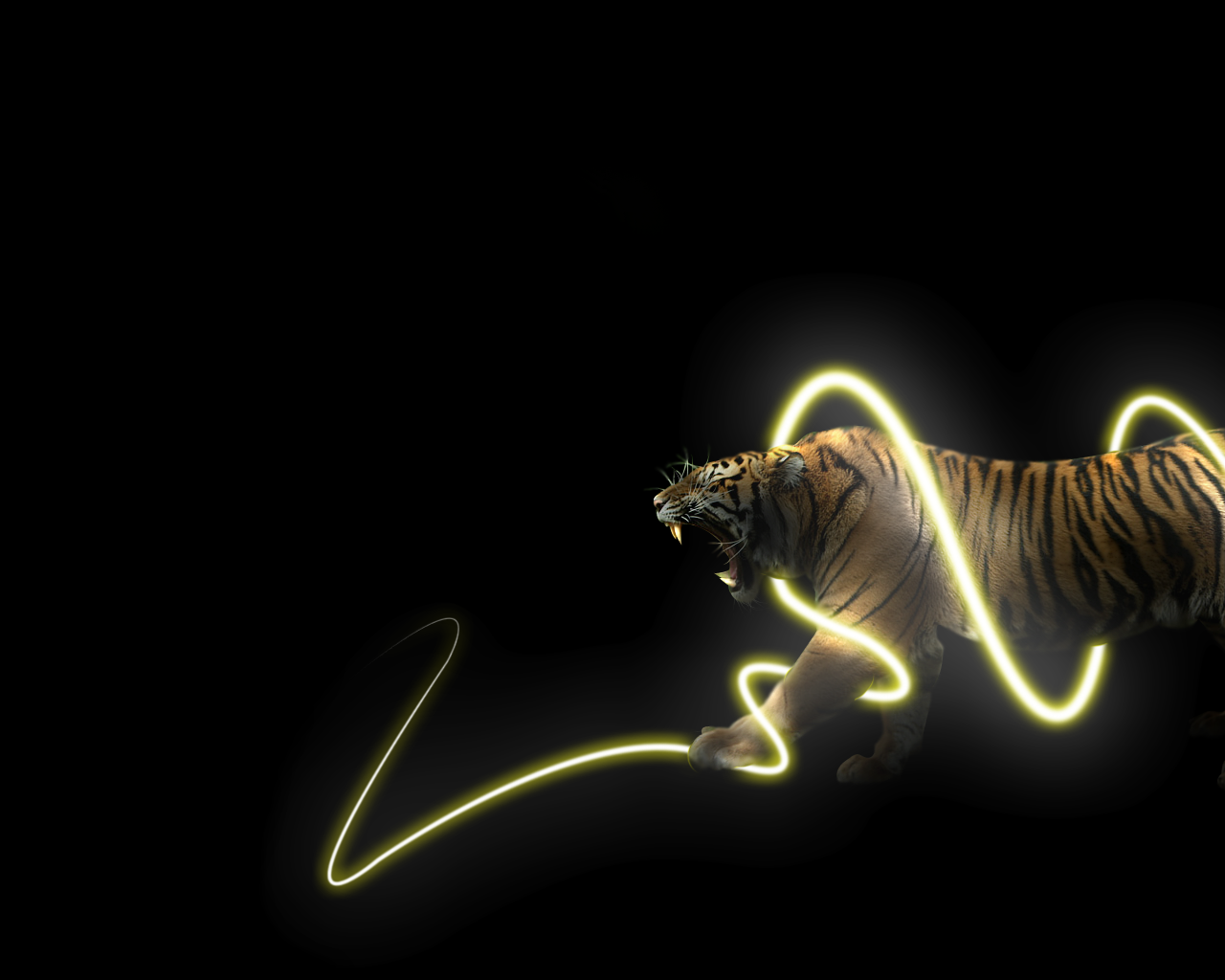 Тигр в энерго спирали