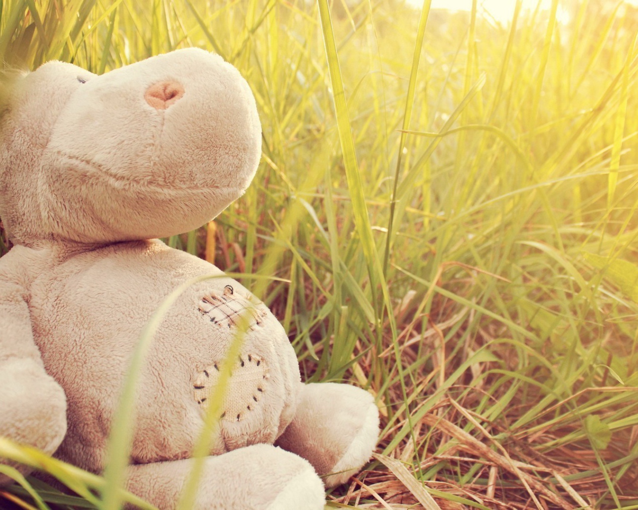 Игрушечный бегемот в траве