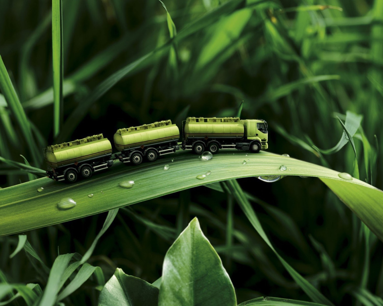 Игрушка на траве