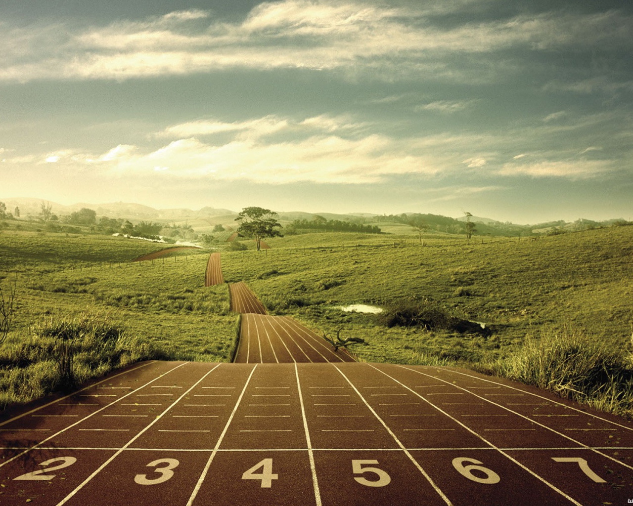 Беговая дорожка среди полей