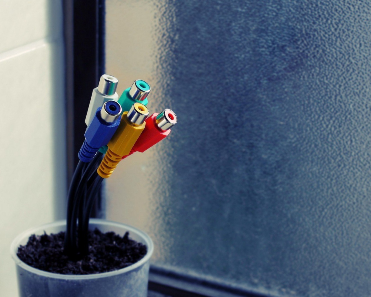 Тюльпаны в горшке