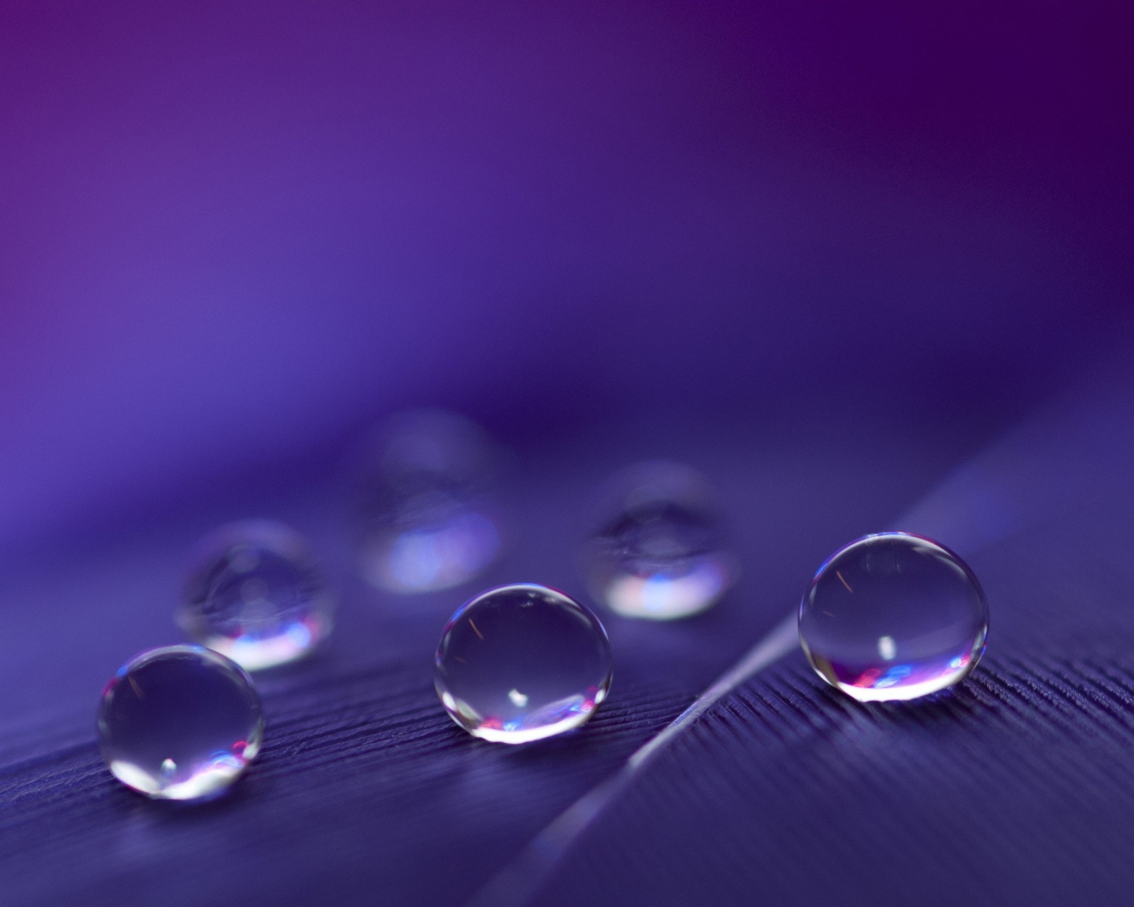 Капли воды расположились треугольником