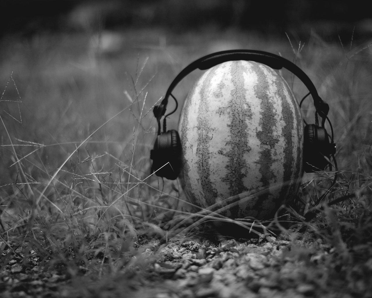 Арбуз в наушниках