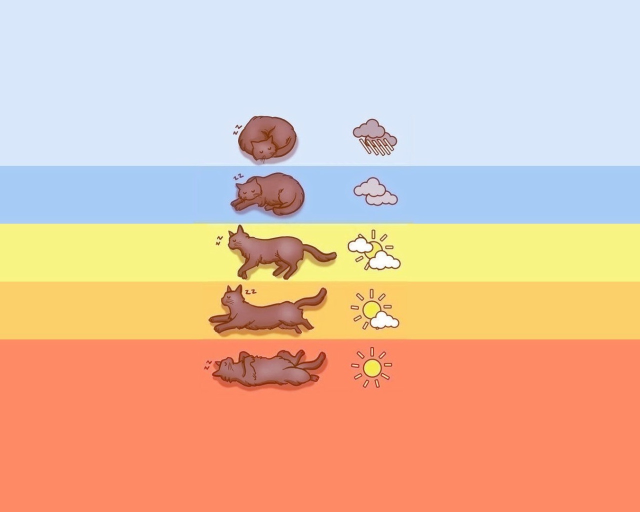 Прогноз погоды по коту