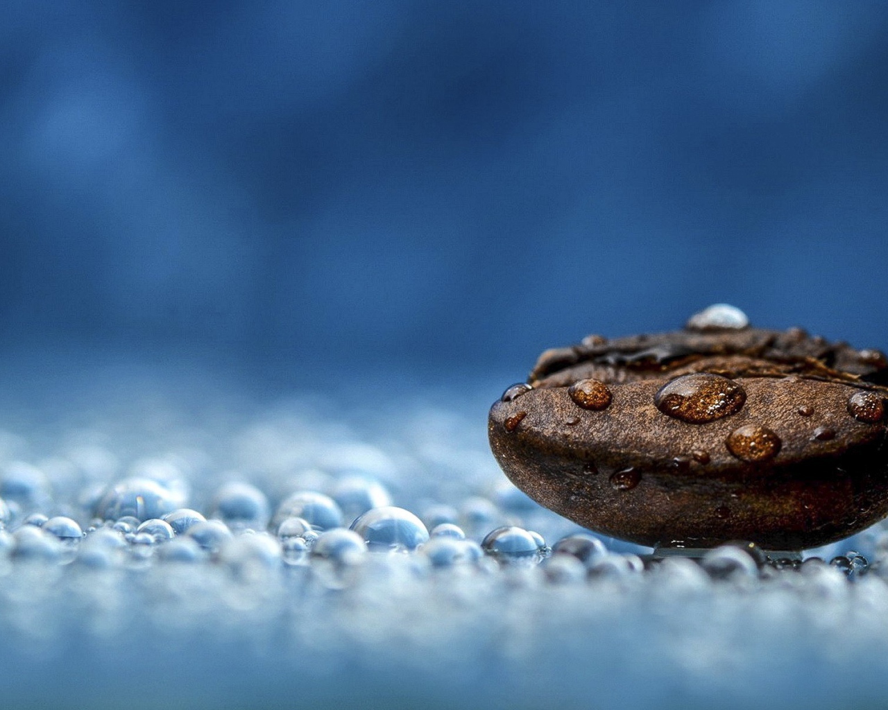 Мокрое зерно кофе