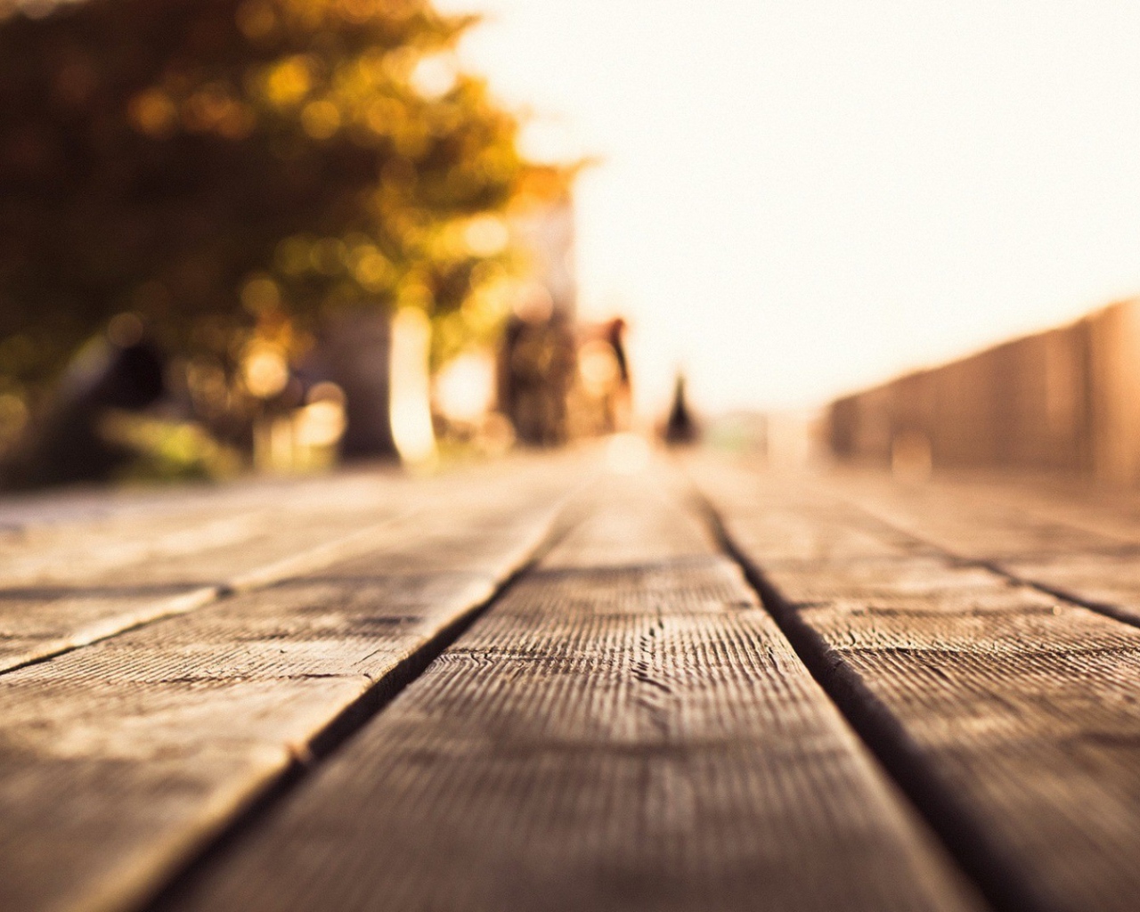 Деревянные полы на площадке для прогулок