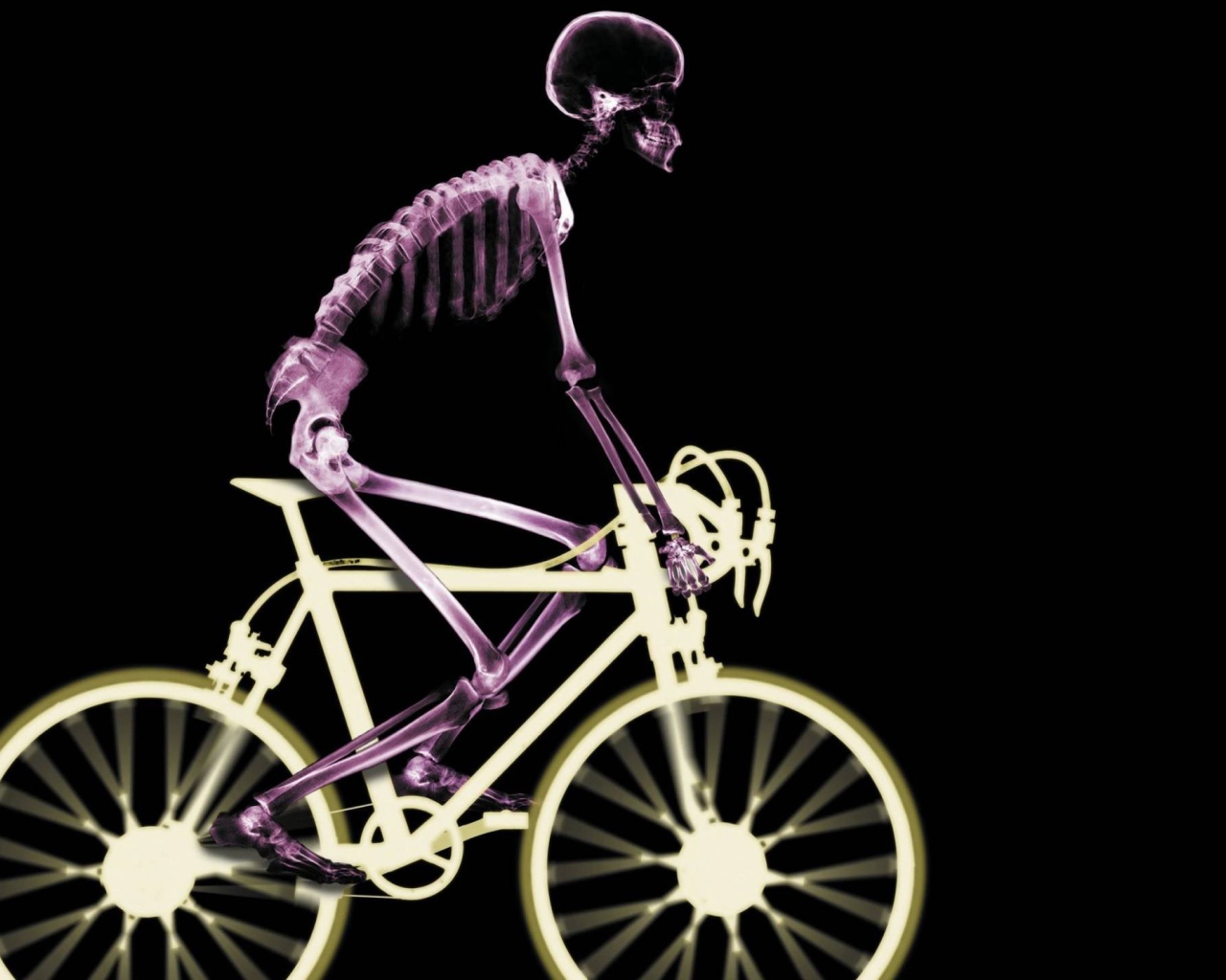 Рентген человека на велосипеде