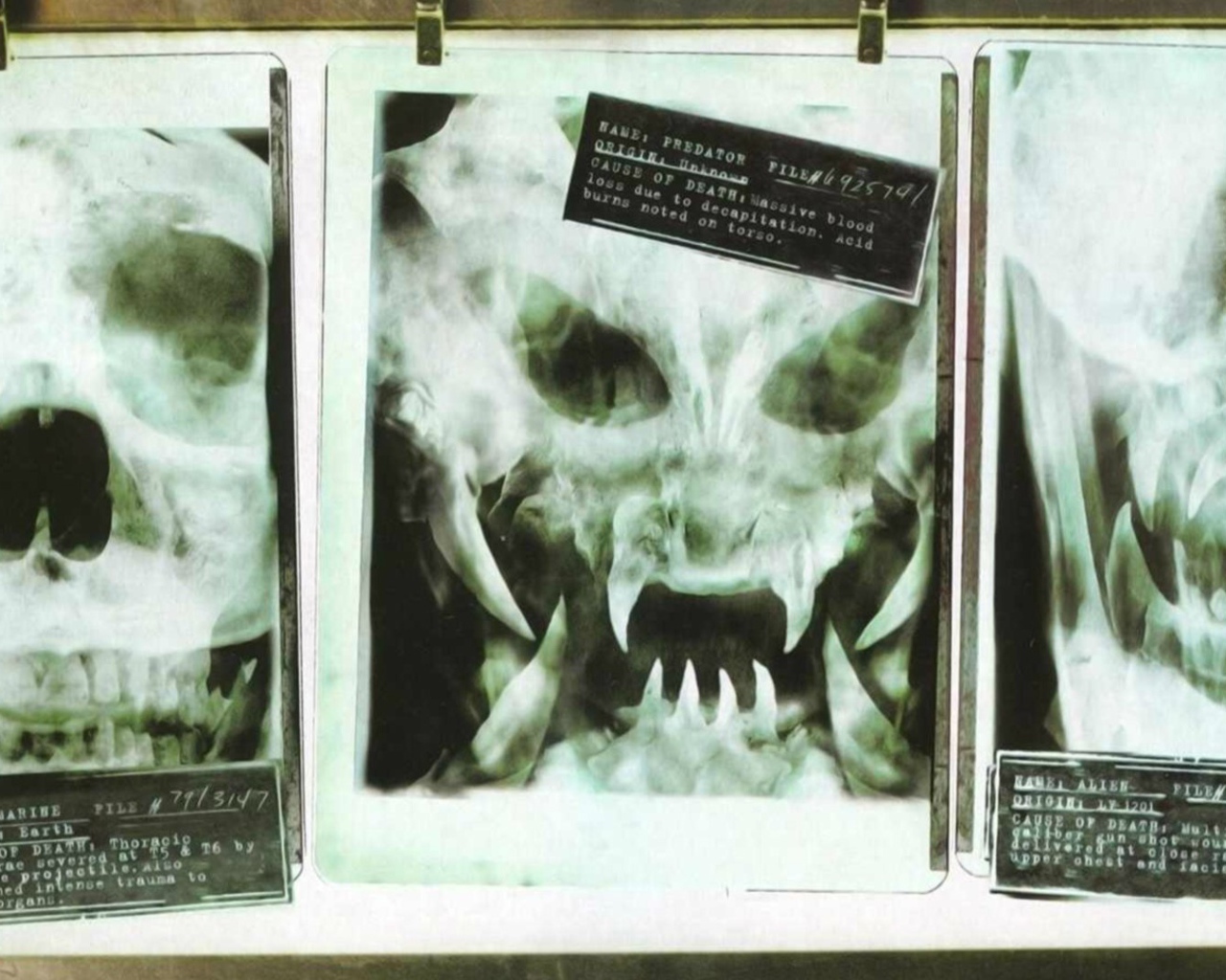 Рентгеновские снимки опасных созданий
