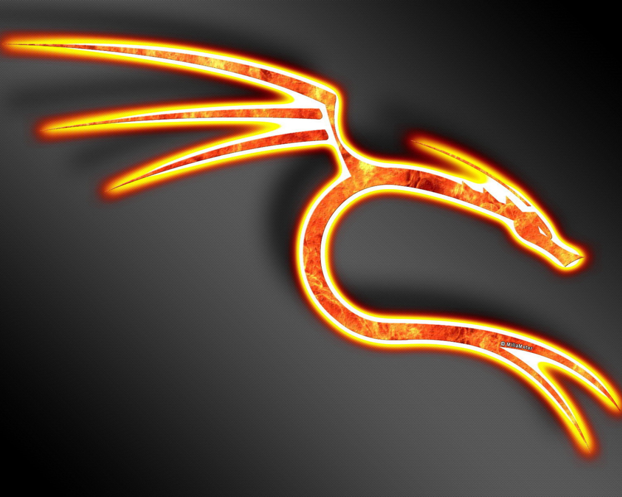 Знак огненного дракона