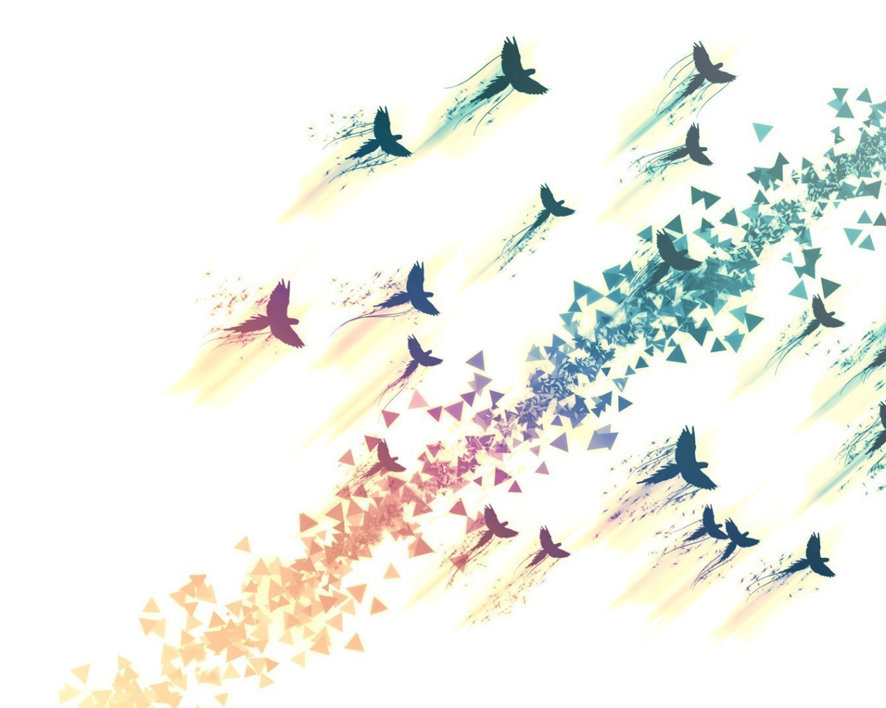 Нарисованные птицы на белом фоне