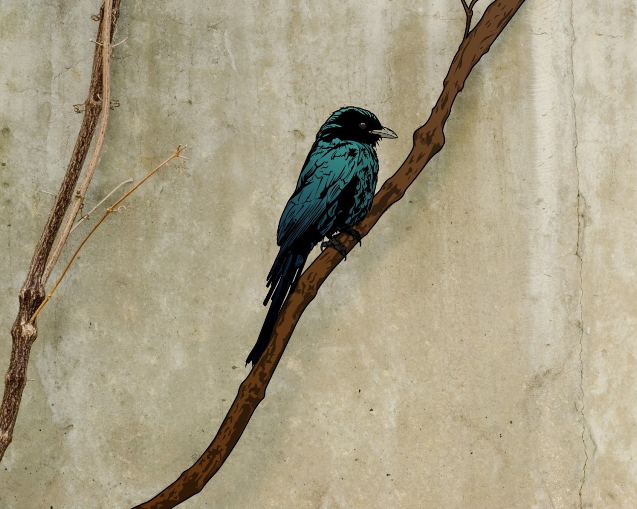 Грач на ветке, рисунок на пергаменте